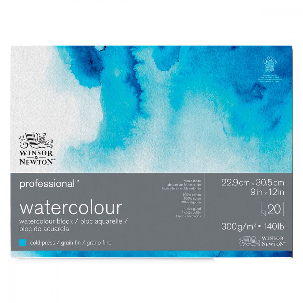 Bloco de Papel Para Aquarela Winsor & Newton Professional 300g/m² 23x30,5cm 20 Folhas